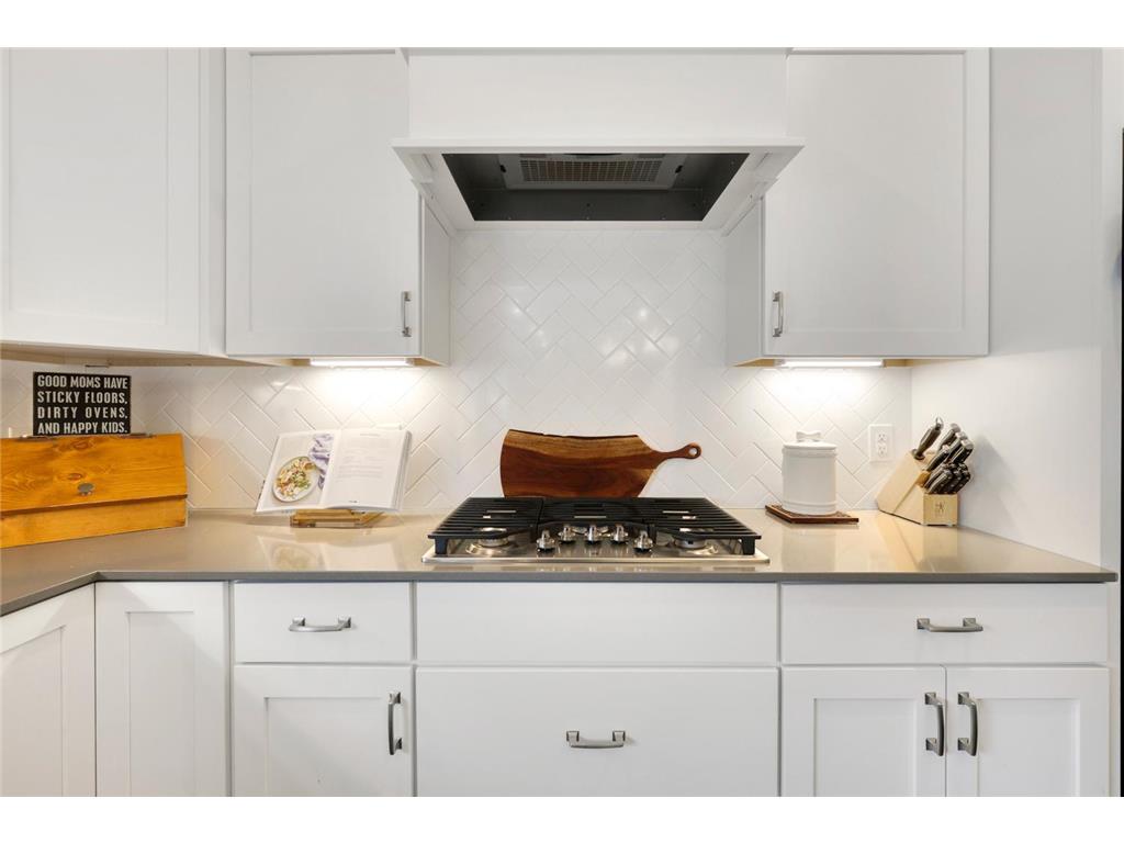 13404 Avila Avenue Rosemount MN 55068 6784958 image18