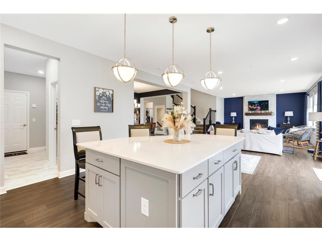 13404 Avila Avenue Rosemount MN 55068 6784958 image2