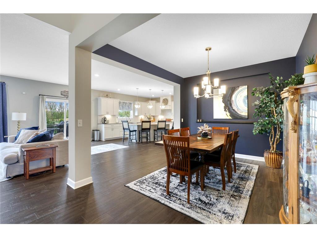 13404 Avila Avenue Rosemount MN 55068 6784958 image6