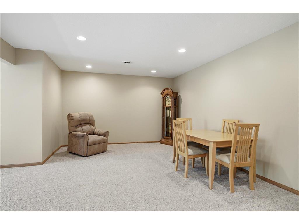 13410 Superior Drive Rogers MN 55374 - Cowley 7109005 image37