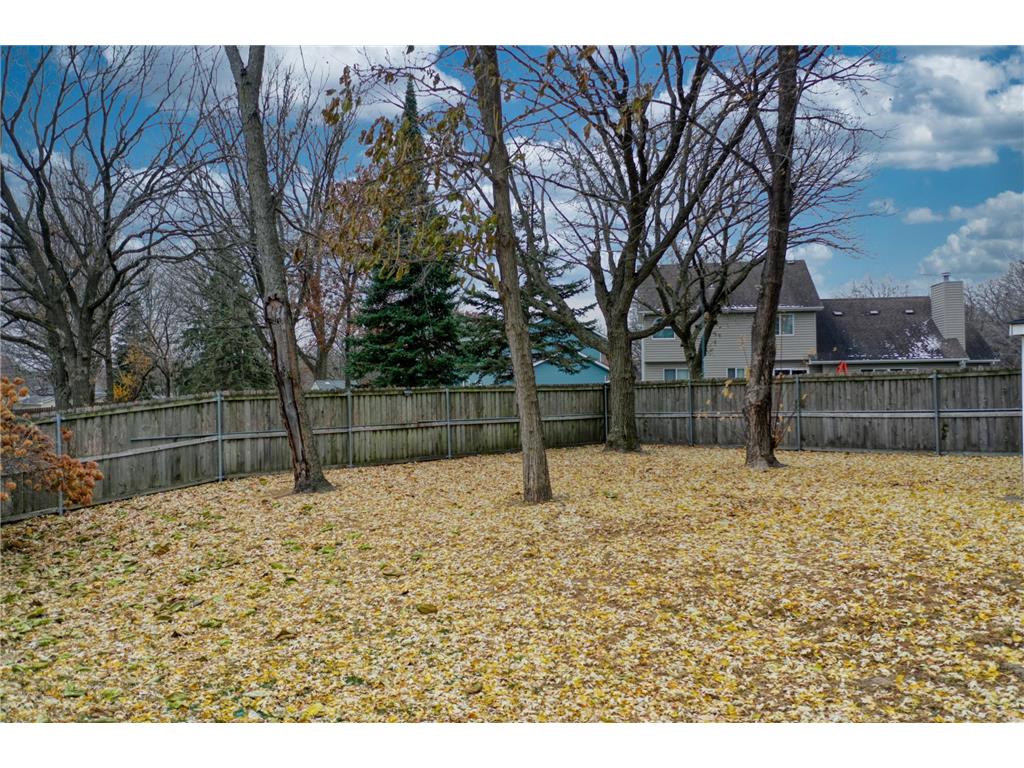 13416 Swallow Street NW Andover MN 55304 6810368 image19