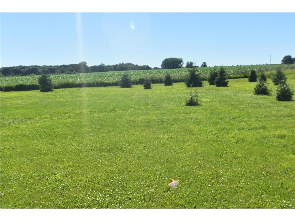 1342 Calvary Road SE Osakis Twp MN 56360 7103721 image5