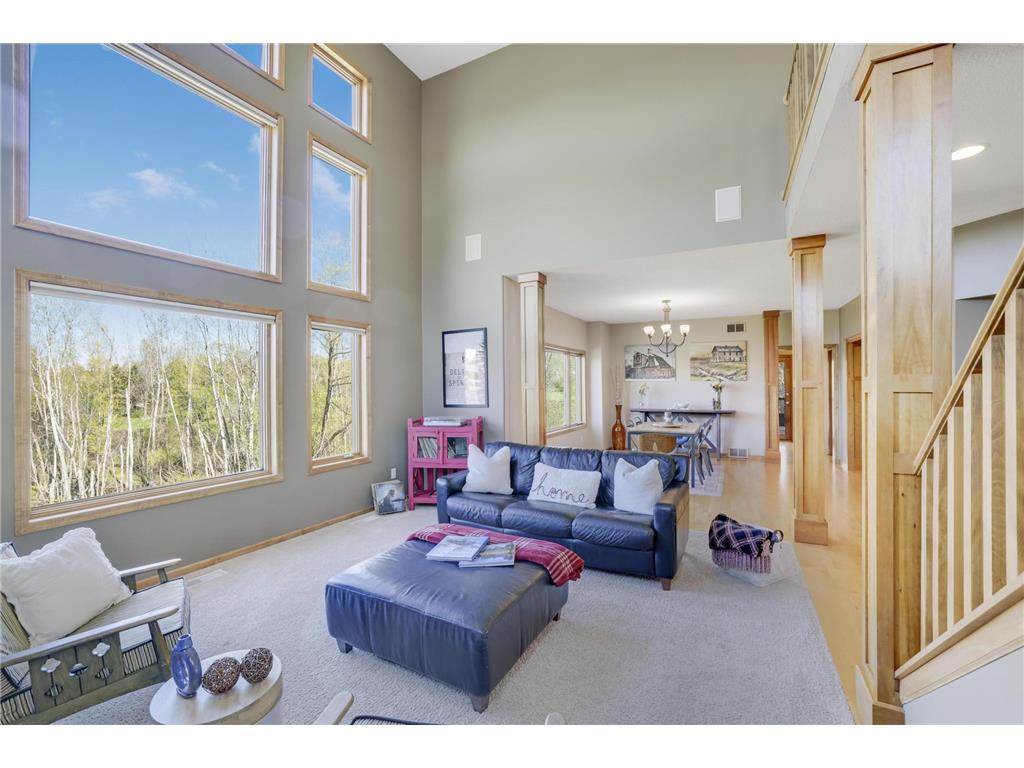 13421 Danube Lane Rosemount MN 55068 7067731 image13