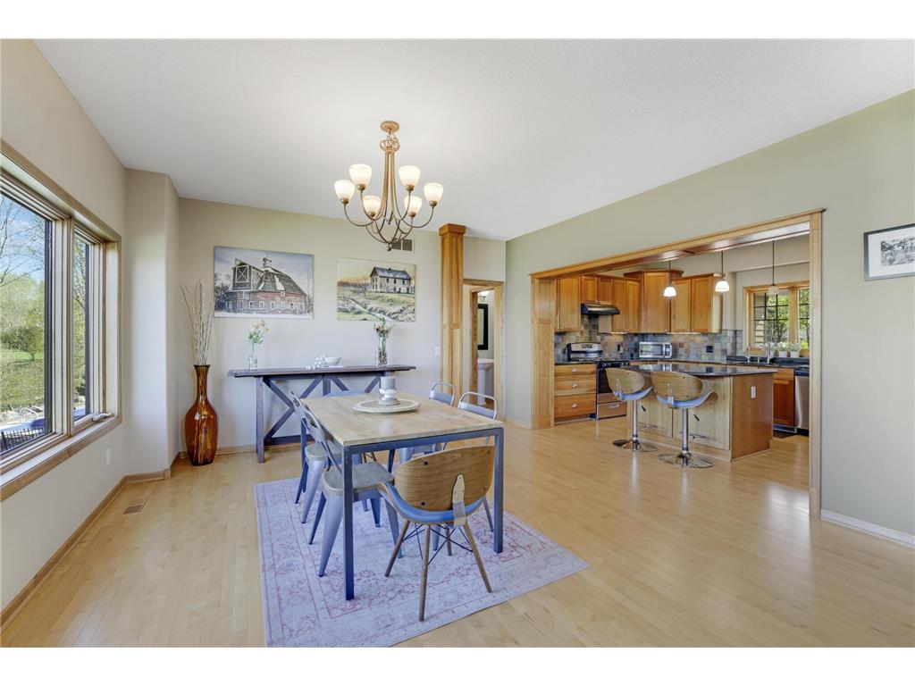 13421 Danube Lane Rosemount MN 55068 7067731 image22