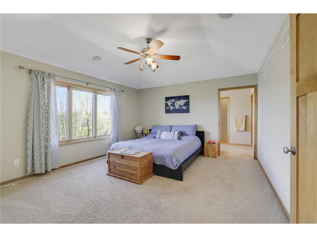 13421 Danube Lane Rosemount MN 55068 7067731 image31