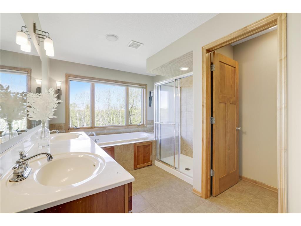 13421 Danube Lane Rosemount MN 55068 7067731 image36