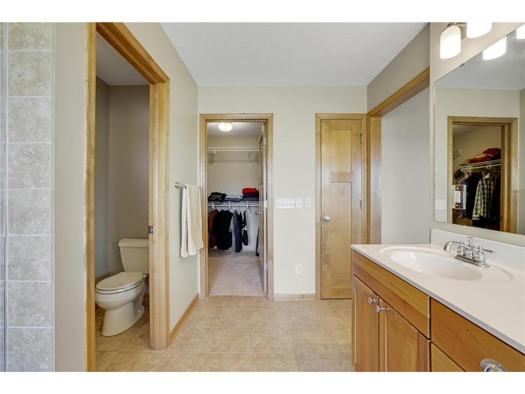 13421 Danube Lane Rosemount MN 55068 7067731 image37
