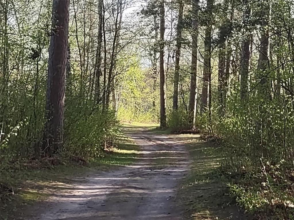 1343 Indian Point Trail NW Ponto Lake Twp MN 56474 - Hand Lake 6723940 image1