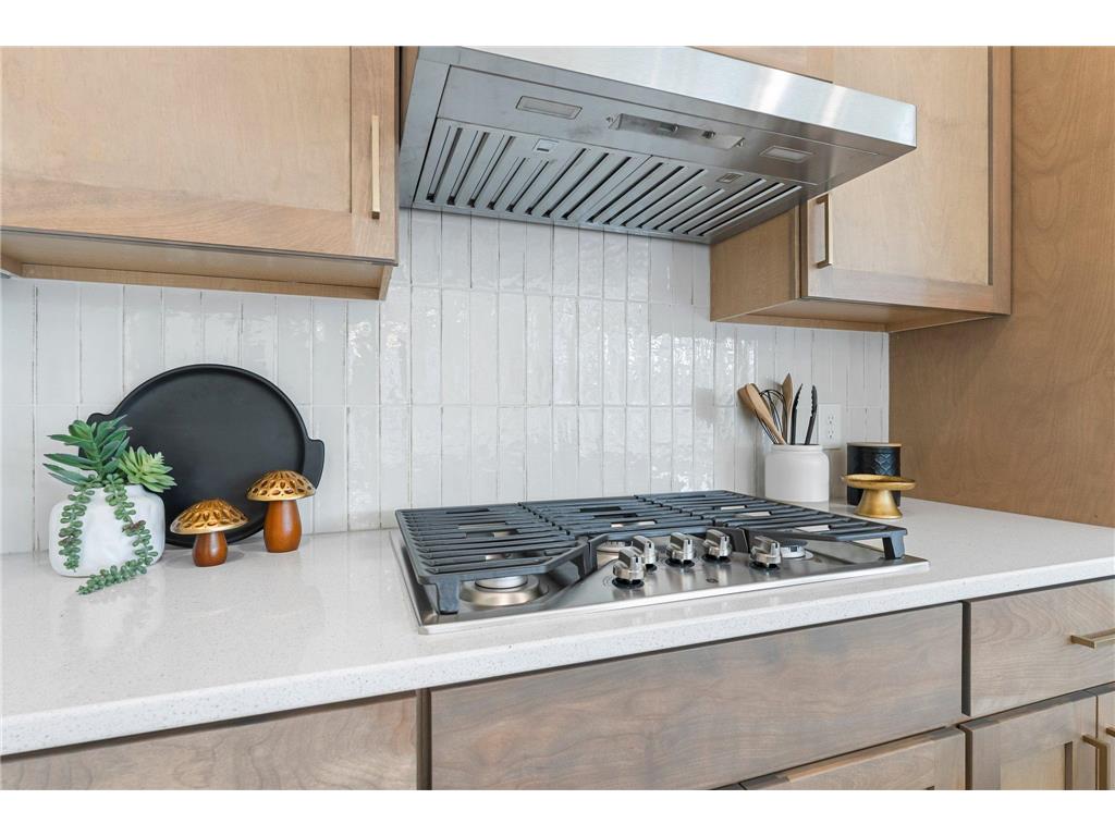 13430 Cadogan Way Rosemount MN 55068 6783827 image30