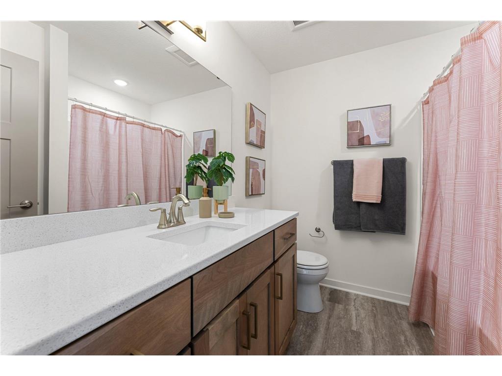 13430 Cadogan Way Rosemount MN 55068 6783827 image48