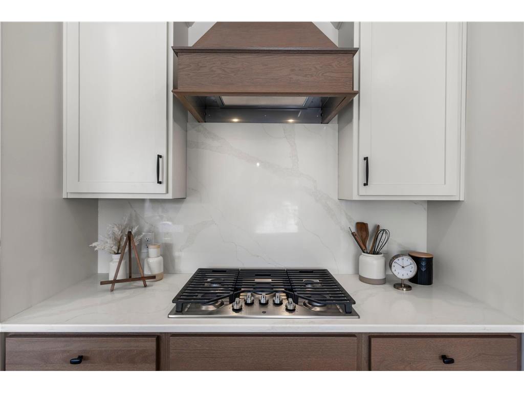 13430 Cadogan Way Rosemount MN 55068 7029054 image52