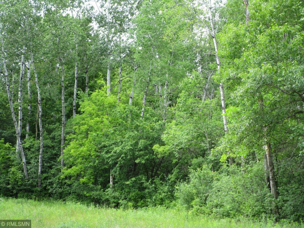 1344 39th Street Houlton WI 54082 6149058 image1