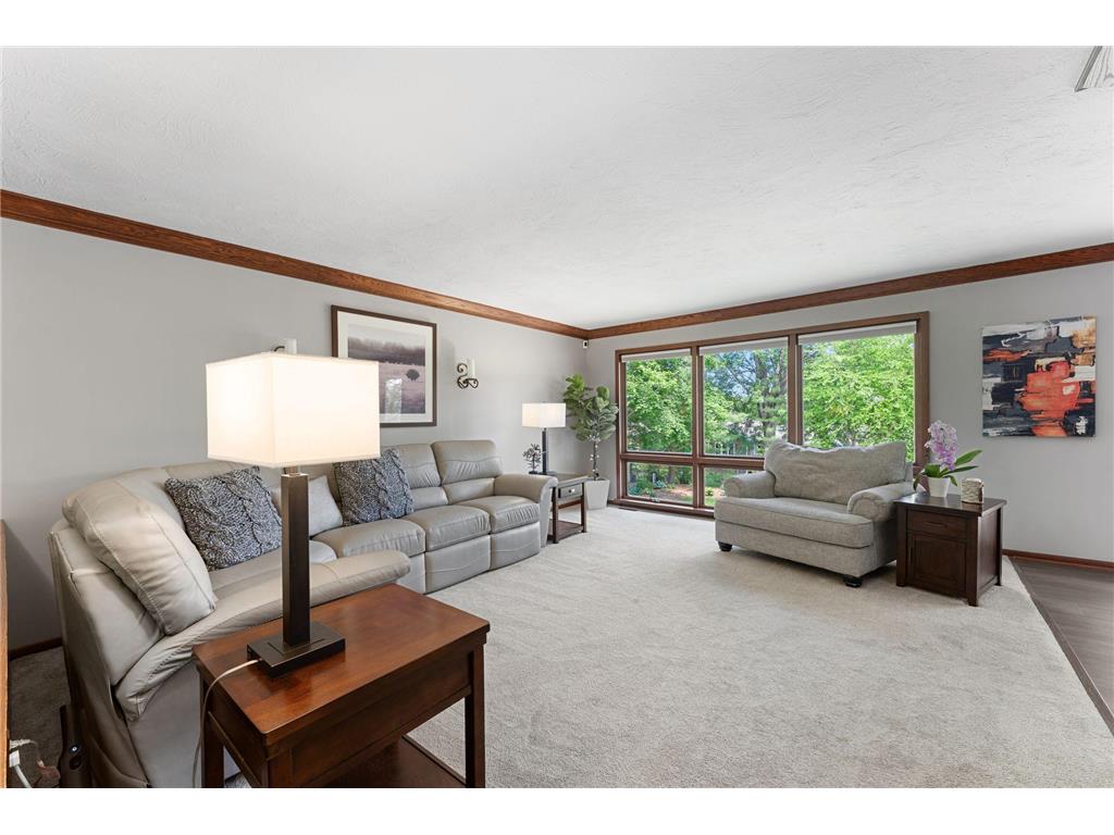 1345 Broadview Avenue Chaska MN 55318 7073939 image11