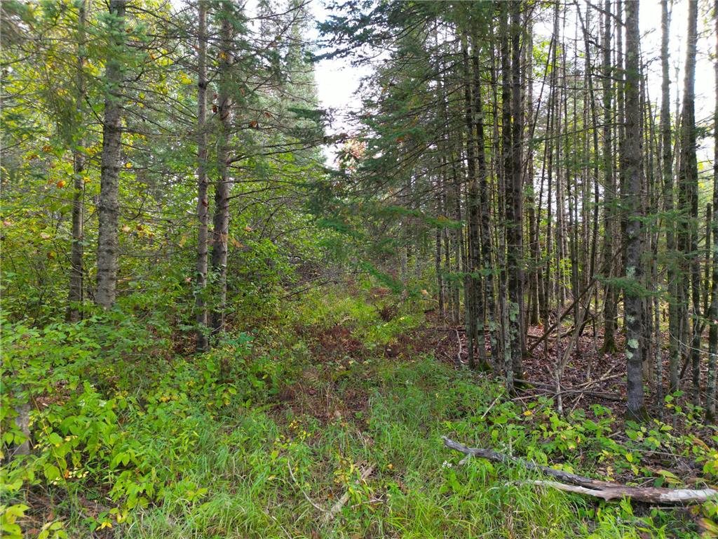 13450 S Swedish Highway Dairyland WI 54830 6794572 image1