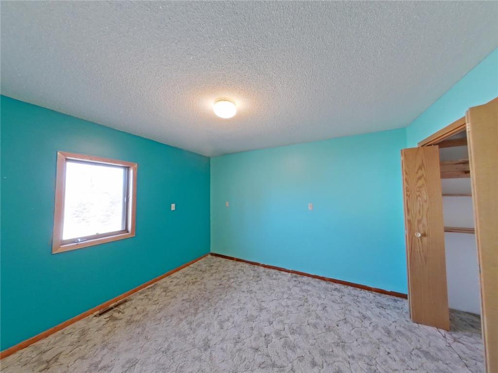 13454 750th Street Blooming Prairie MN 55917 - Cedar River 7043747 image13