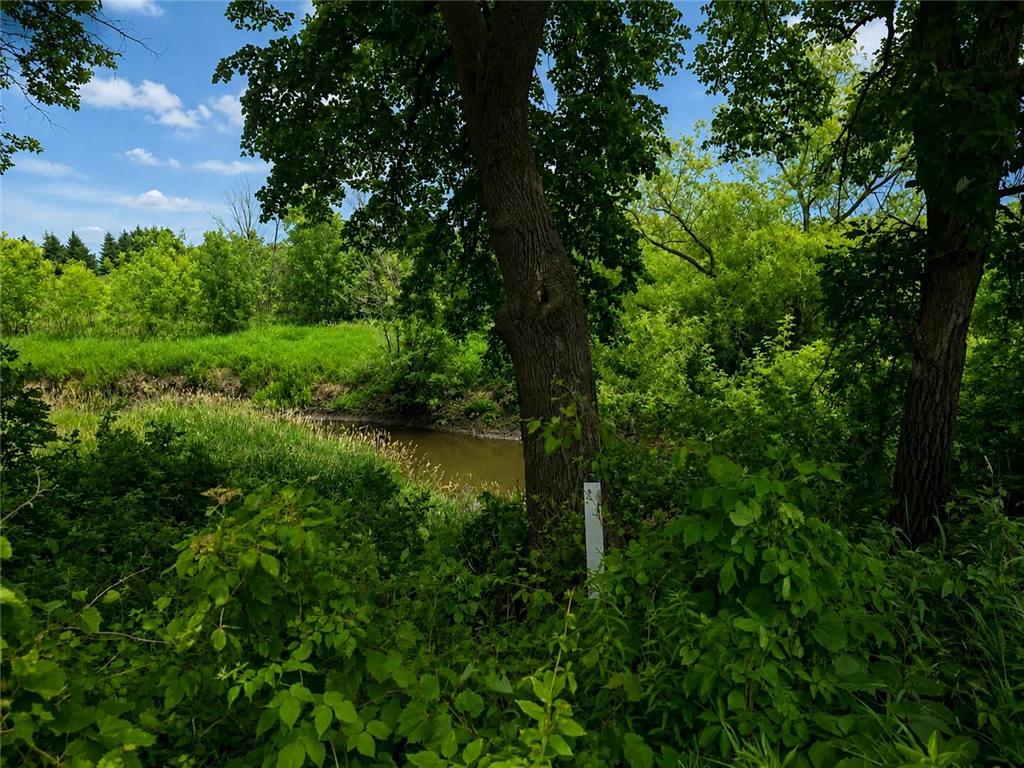 13454 750th Street Blooming Prairie MN 55917 - Cedar River 7043747 image21
