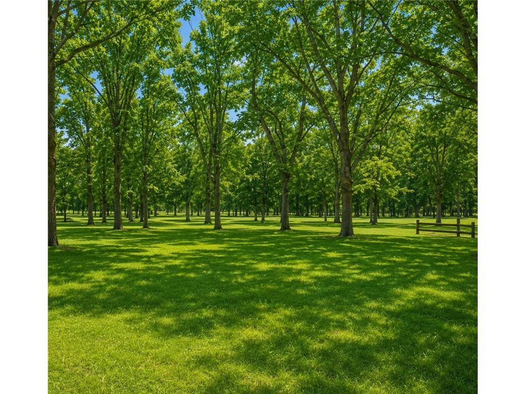 13464 Thomas Drive Little Falls Twp MN 56345 7084026 image3