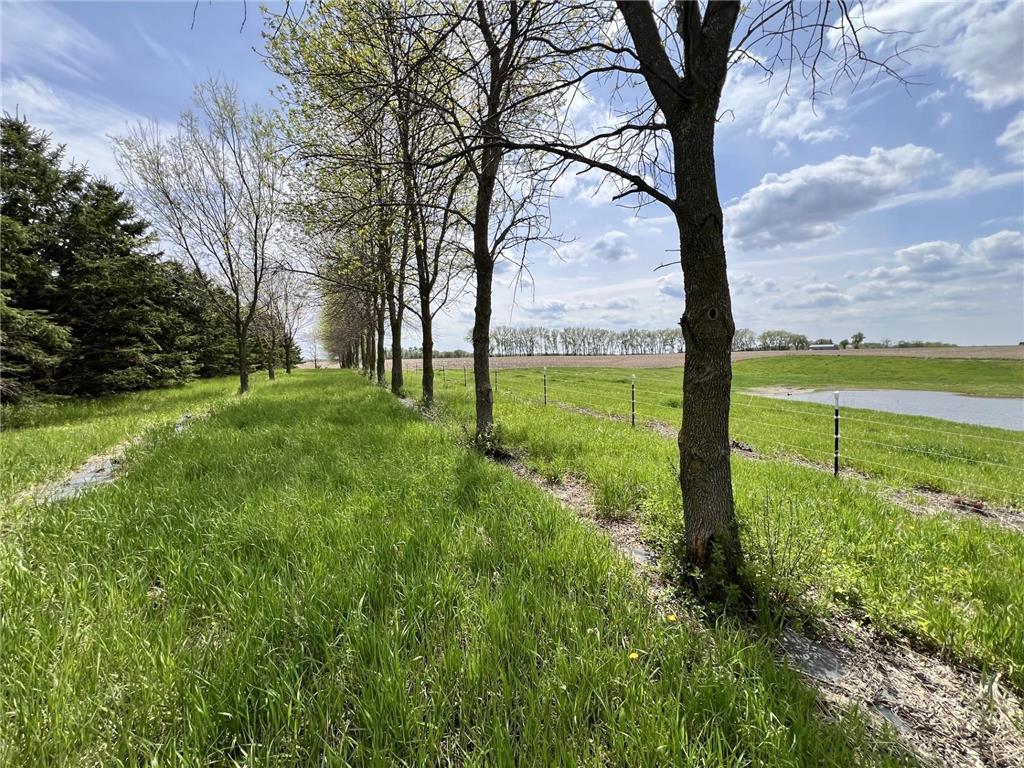 13472 Edgefield Road NW Brandon MN 56315 7079064 image36
