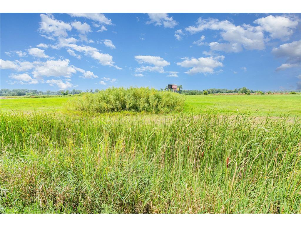 13472 W Freeway Drive Columbus MN 55038 6767858 image18