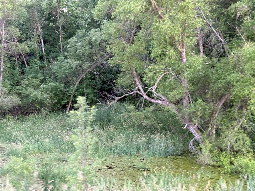 13473 Bittner Drive Sauk Centre MN 56378 7100728 image21