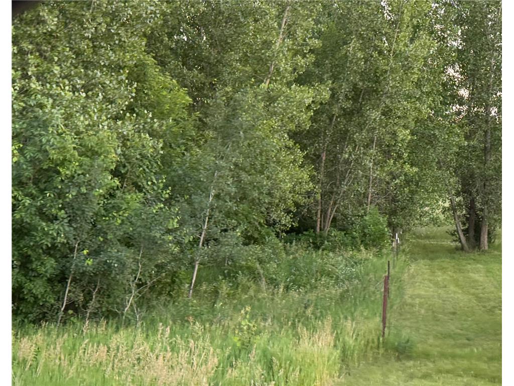 13473 Bittner Drive Sauk Centre MN 56378 7100728 image22