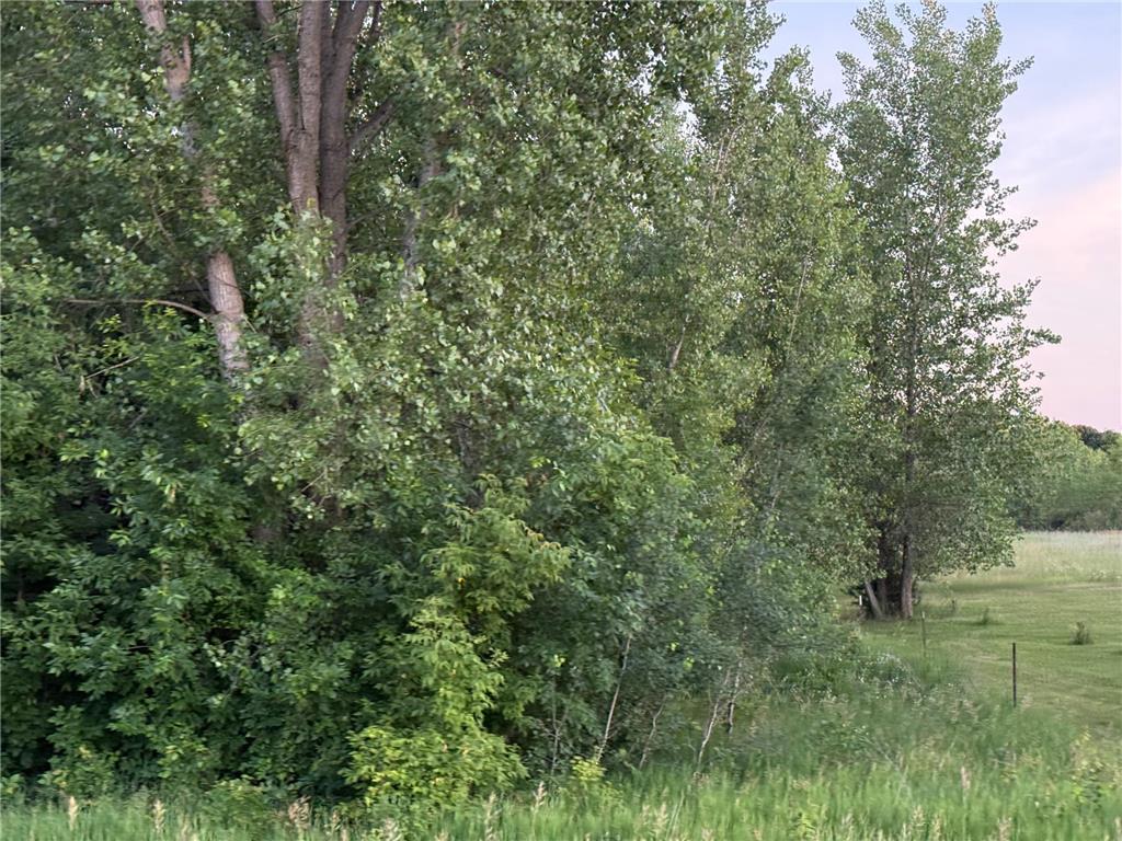 13473 Bittner Drive Sauk Centre MN 56378 7100728 image23