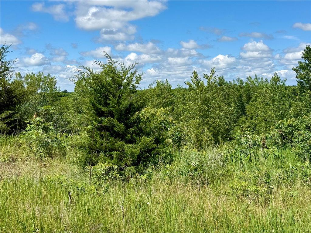 13473 Bittner Drive Sauk Centre MN 56378 7100728 image27