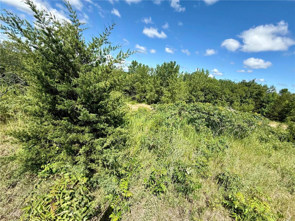 13473 Bittner Drive Sauk Centre MN 56378 7100728 image28