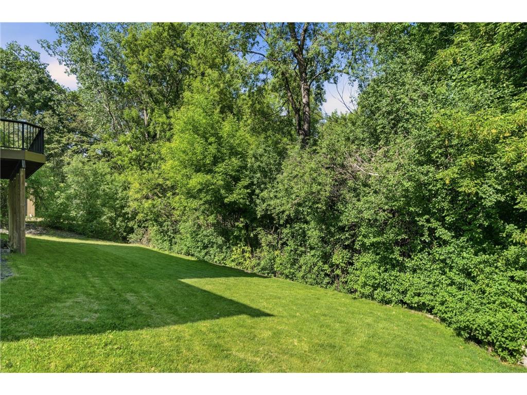 13476 Granada Avenue Apple Valley MN 55124 7071103 image63