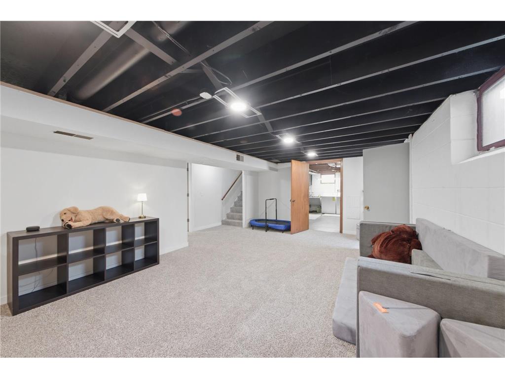 1349 Chicago Avenue Saint Paul Park MN 55071 7081642 image16
