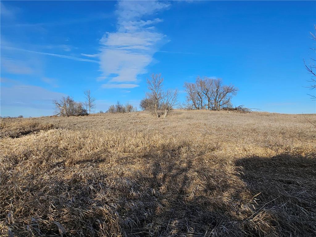 135 120th Avenue SE, Murdock, MN, 56271 MLS 6512538 Edina Realty