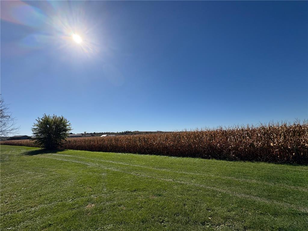 135 5th Avenue NW Elgin MN 55932 6802685 image4