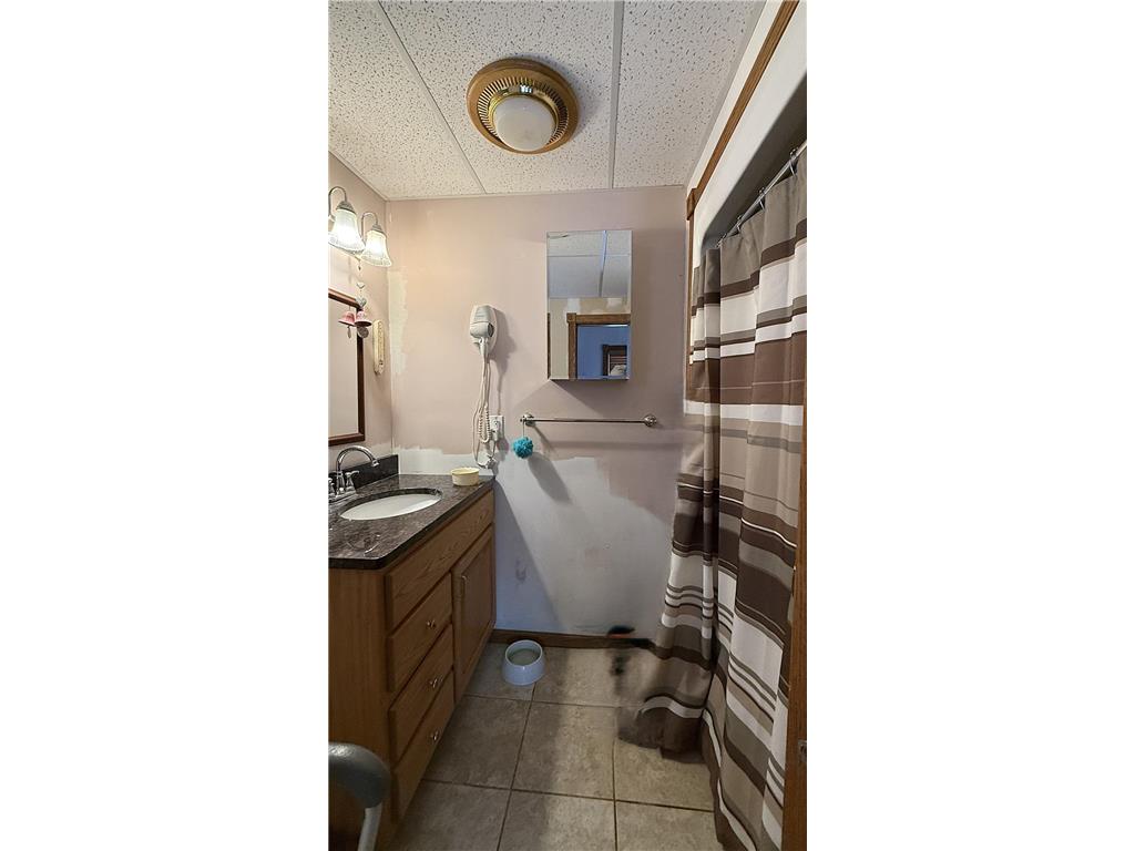 135 N Petrick Street Appleton MN 56208 7025112 image21