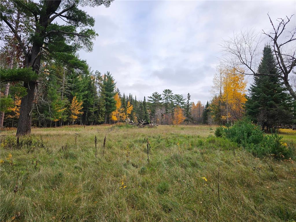 TBD County 7 Longville MN 56655 6457502 image1