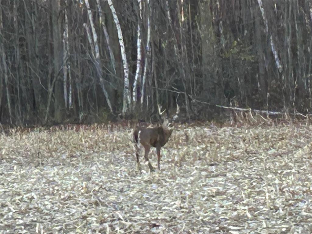 1350 County Road D Lot 4 Emerald Twp WI 54013 6633438 image15