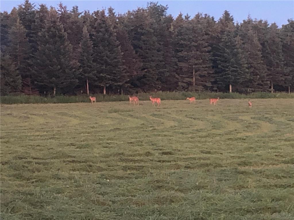 1350 County Road D Lot 4 Emerald Twp WI 54013 6633438 image16