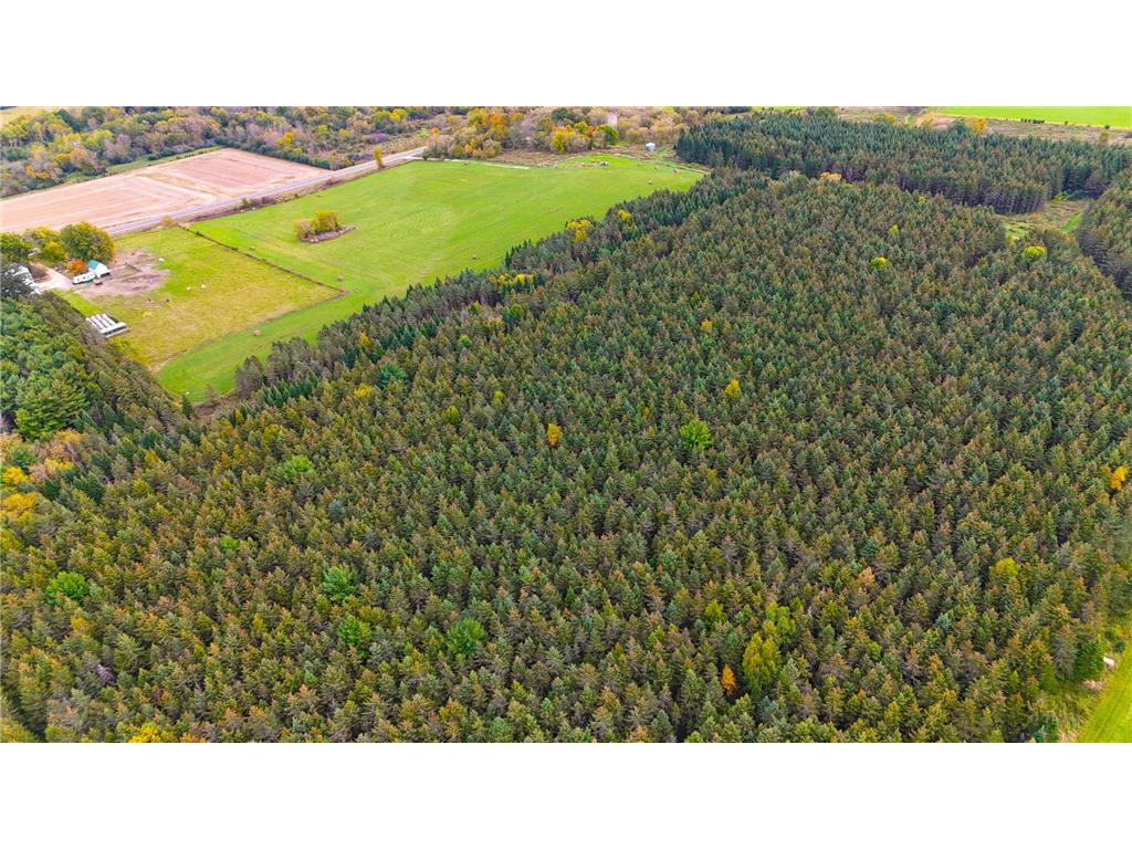 1350 County Road D Lot 4 Emerald Twp WI 54013 6633438 image5