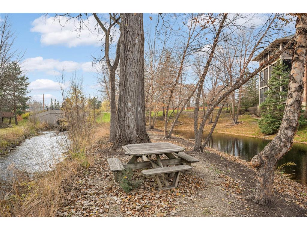 1350 Douglas Drive N 213, Golden Valley, MN, 55422 MLS 6460602