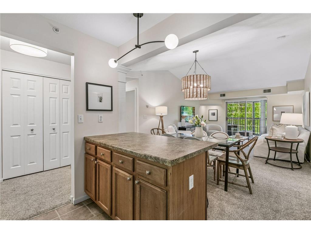 1350 Douglas Drive N #309 Golden Valley MN 55422 7085455 image14