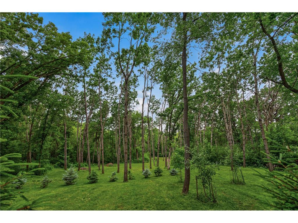 1350 Oldridge Avenue N West Lakeland Twp MN 55082 7090746 image24