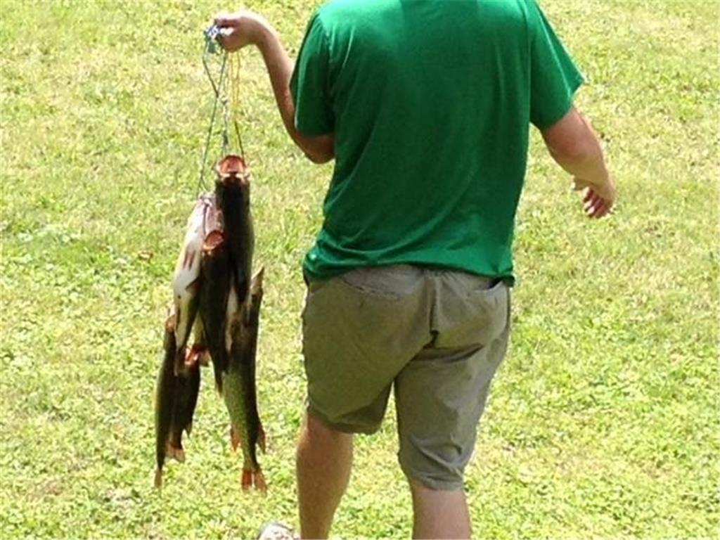 13505 485th Avenue Parkers Prairie MN 56361 - Block 6786614 image6