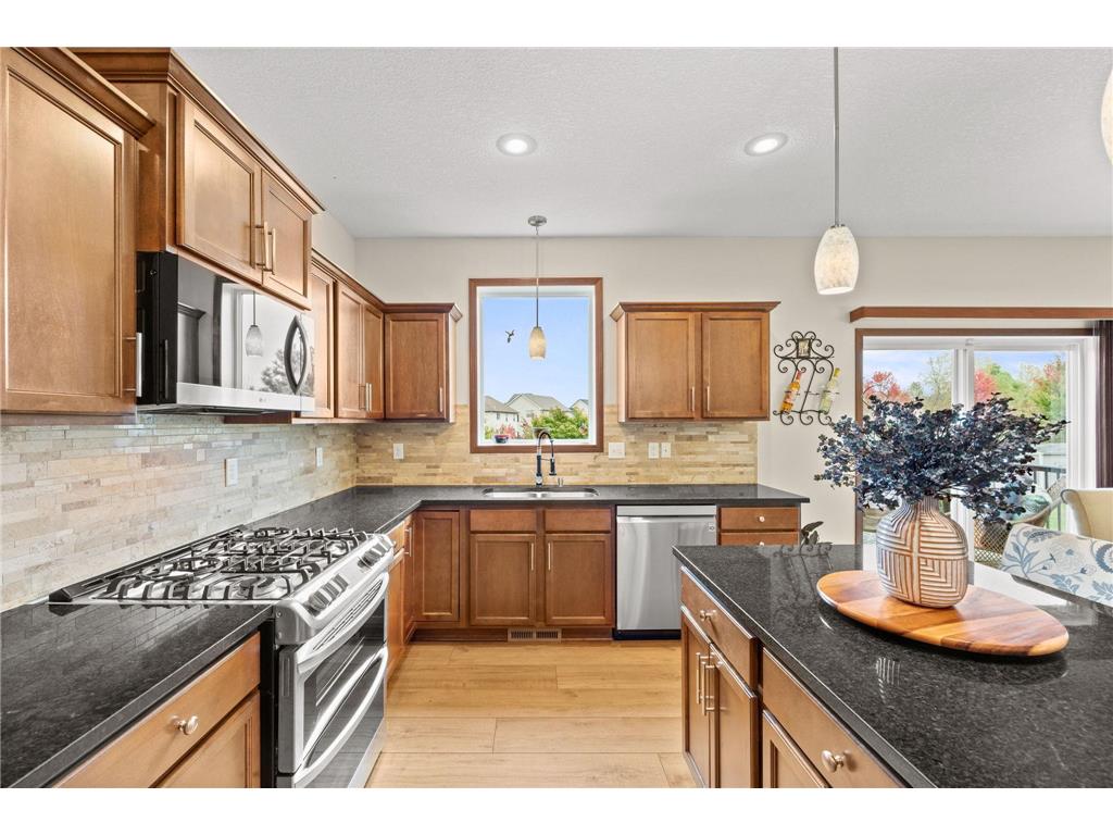 13528 Big Sandy Lake Drive Rogers MN 55374 6803331 image19