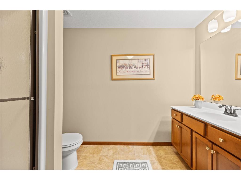 13528 Big Sandy Lake Drive Rogers MN 55374 6803331 image24