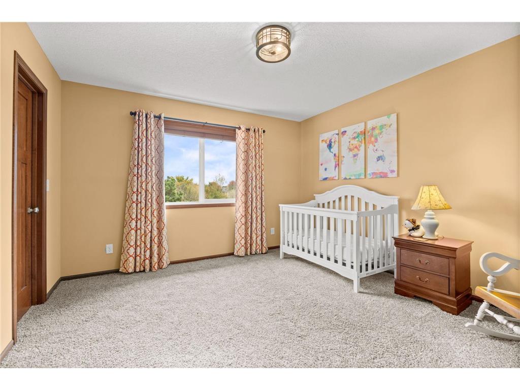 13528 Big Sandy Lake Drive Rogers MN 55374 6803331 image28