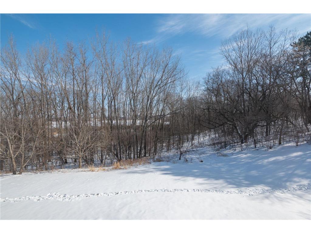 13529 Carmody Drive Eden Prairie MN 55344 7027093 image29