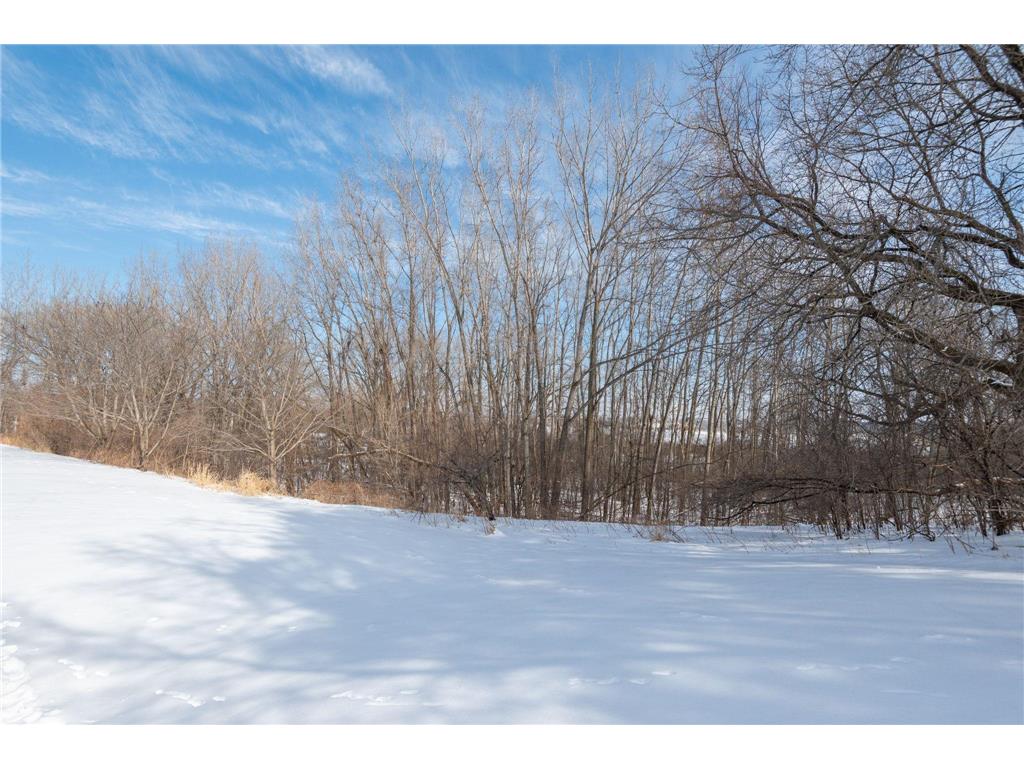 13529 Carmody Drive Eden Prairie MN 55344 7027093 image32