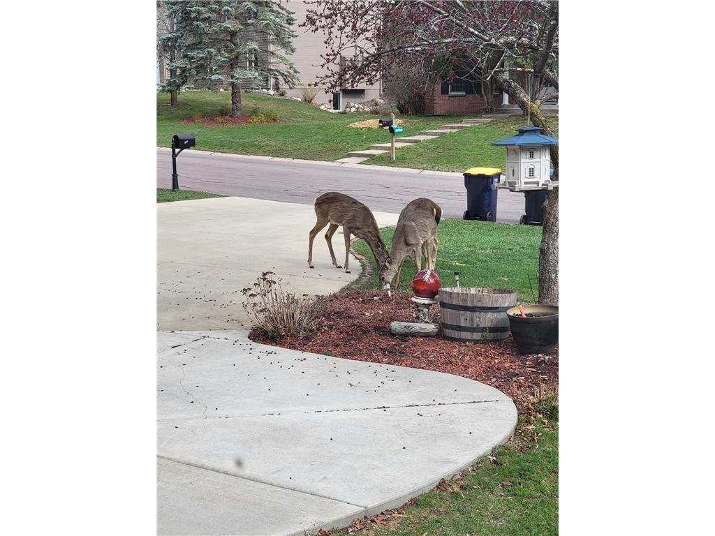 13529 Gossamer Way Apple Valley MN 55124 6809108 image27