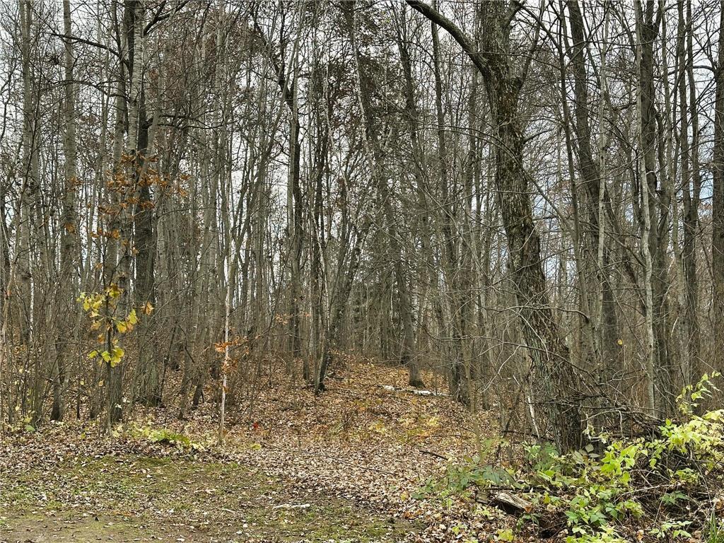 1353 State 371 NW Backus MN 56435 - Island Lake 6810351 image32