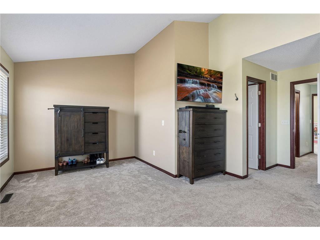 1354 Savanna Drive Shakopee MN 55379 7059290 image25