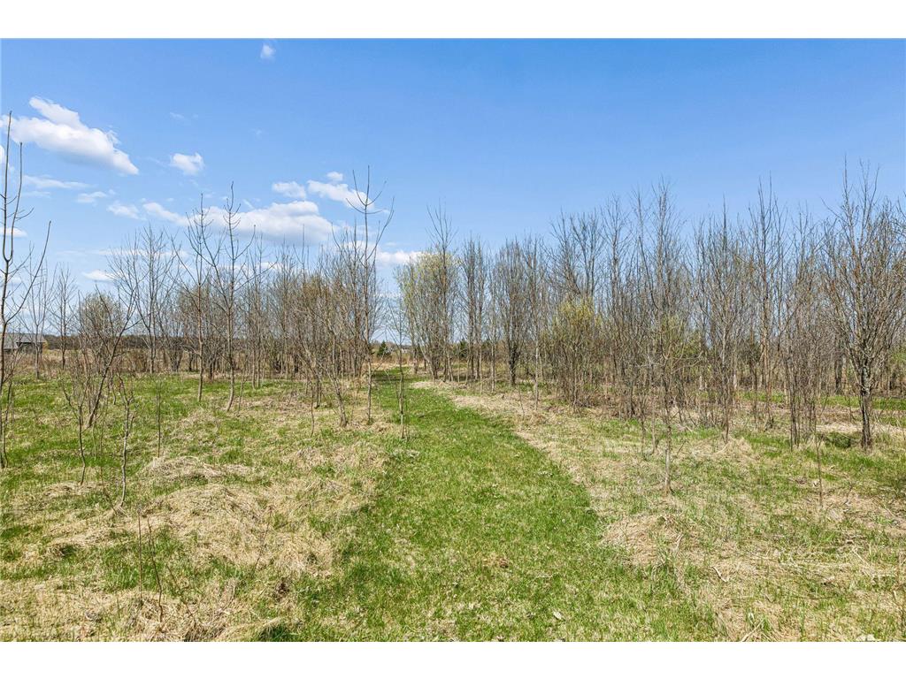 13556 355th Street Lindstrom MN 55045 7064377 image48